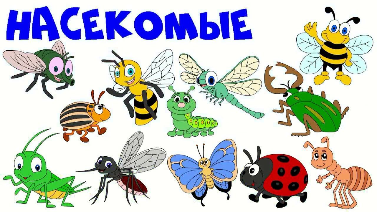 Мультик для малышей про насекомых. Развивашки для детей смотреть онлайн
