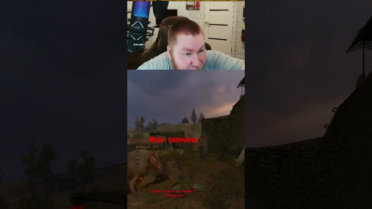 Мир в Сталкере! Оповещения о стримах ТГ : https://t.me/top0r7 (Медовый Зал) смотреть онлайн