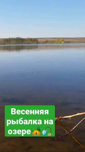 Единение с природой