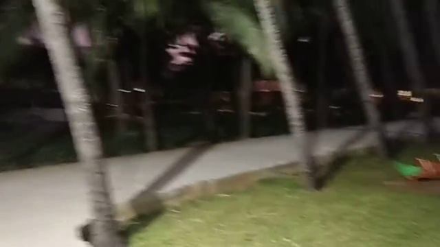 Видео - 10. Ятрах Дхарма Татра джайя. Приехали в отель Грин Коконат. смотреть онлайн