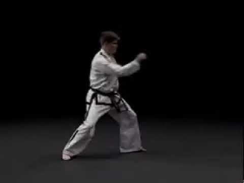 До Сан туль видео тхэквондо зеленый пояс тхэквондо хьенг 24 движения 6 гып комплекс Do San вид сзади смотреть онлайн