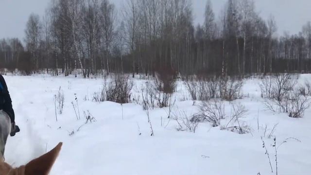 Выйду я в поле с конем! смотреть онлайн