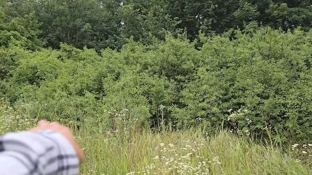 Рея отпустили на участке, расчистка участка под забор. Рею пришла обработка. смотреть онлайн