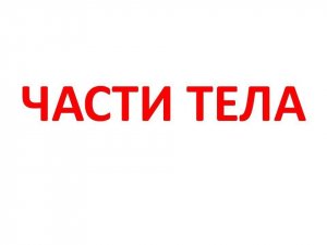 Презентация «Части тела». Учимся читать с пелёнок по карточкам