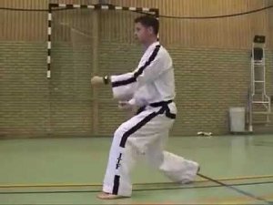 До Сан видео тхэквондо туль зеленый пояс тхэквондо хьенг 24 движения 6 гып комплекс Do San Tul спорт