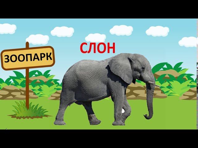 Животные для детей. Развивающий мультик. В зоопарке смотреть онлайн