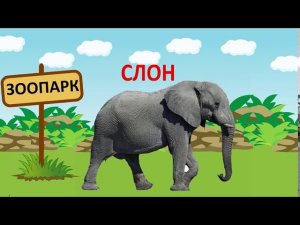 Животные для детей. Развивающий мультик. В зоопарке