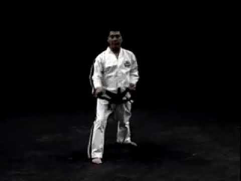 Чон Джи видео тхэквондо туль на бело-желтый пояс, 9 гып хьенг 19 движений комплекс Chon Ji вид сзади смотреть онлайн