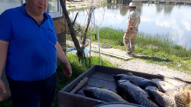 14 июня 2021 г.