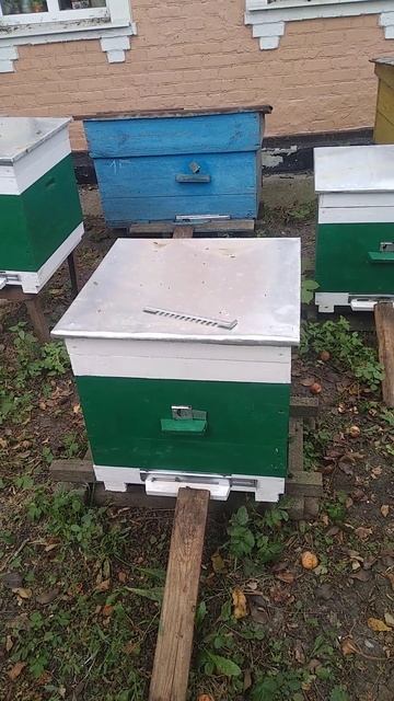 Вывожу старые улья #пчеловодство #разведениепчел #пасека смотреть онлайн