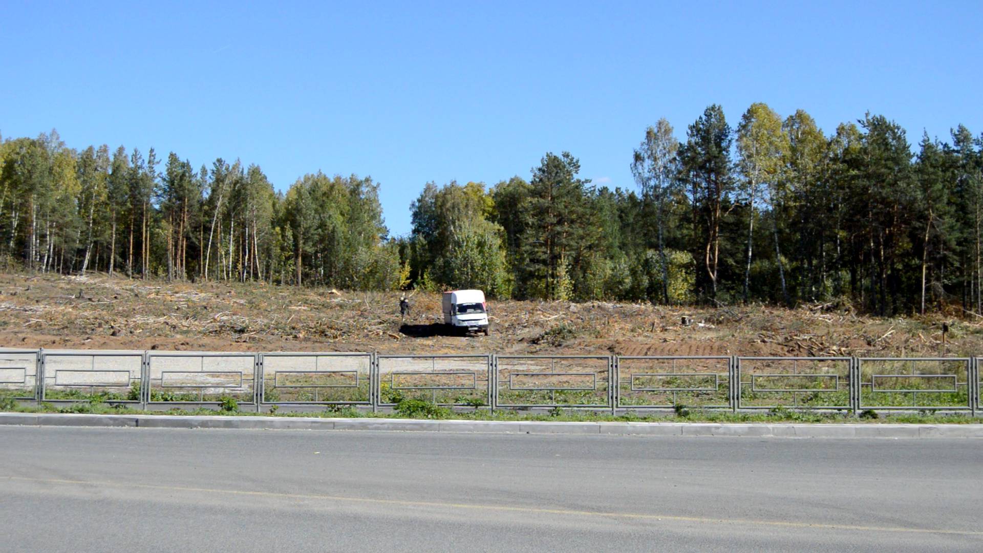 Лесоповал в Верхней Пышме