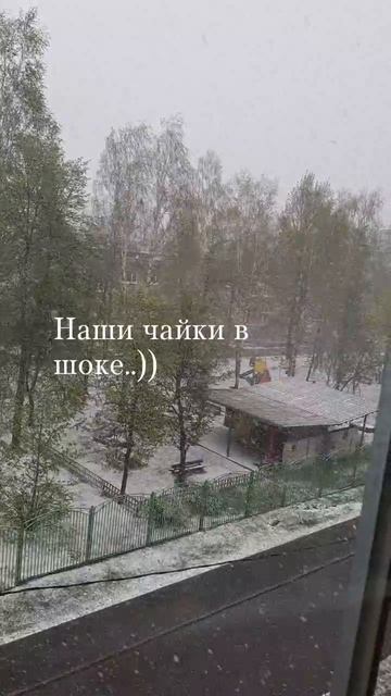 СНЕГ ТАРАБАНИТ ПО СТЕКЛУ!ЧАЙКИ В ШОКЕ ОРУТ КАК НЕНОРМАЛЬНЫЕ