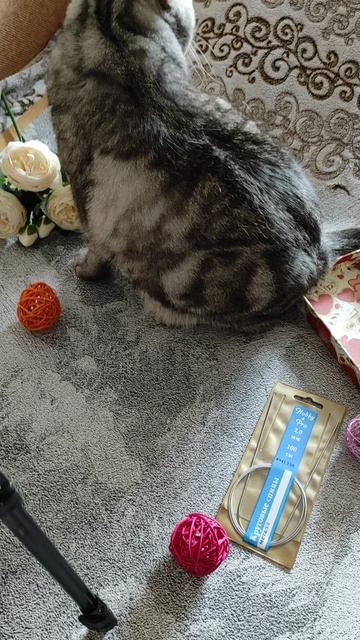 Помощник в деле)) смотреть онлайн