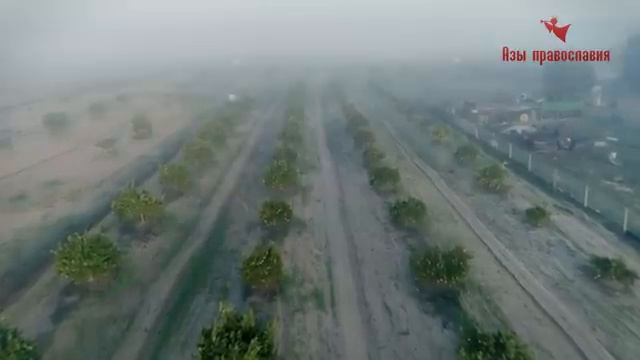 Как обрести мир душевный Спокойствие на Душе! - Старец Силуан Афонский смотреть онлайн