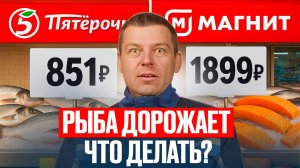 Рыба станет РОСКОШЬЮ! Почему цены на рыбу дороже мяса и кому это выгодно? Прогноз 2025-2035