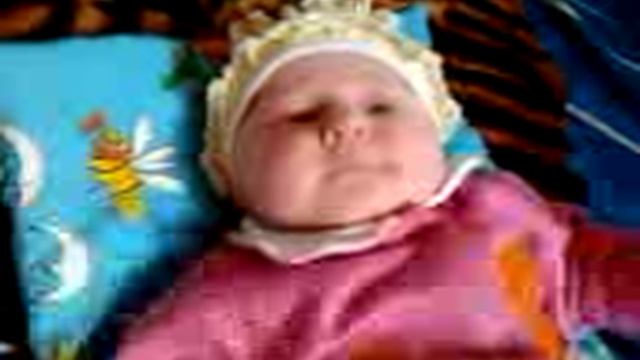 Видео0015 смотреть онлайн