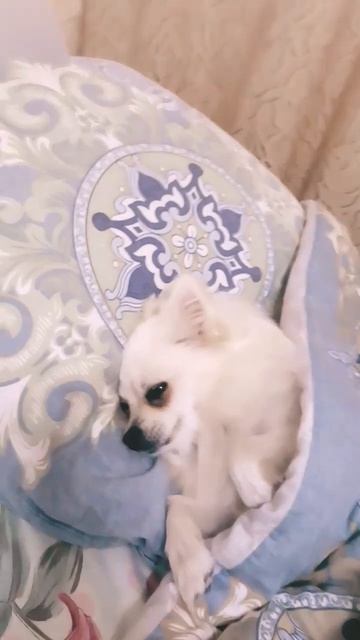 Луиза спать ❤ смотреть онлайн