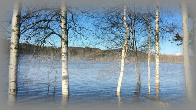 Пробужденье весны стихи Владимир Обожин смотреть онлайн