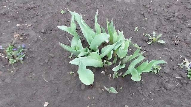 Воскресенье,дождь не испортит настроение!🤗 смотреть онлайн