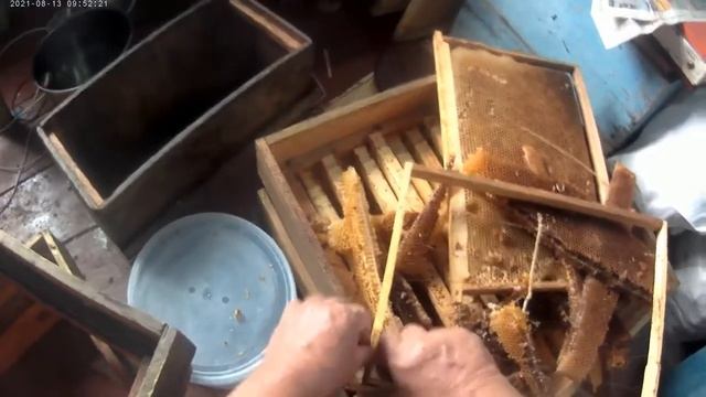 КАЧАЕМ МЁД Ч.4 ГОТОВИМ ВОСКОВОЕ СЫРЬЕ ДЛЯ ПЕРЕТОПКИ смотреть онлайн