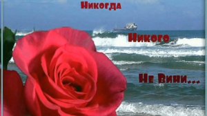 НИКОГДА НИКОГО НЕ ВИНИ...