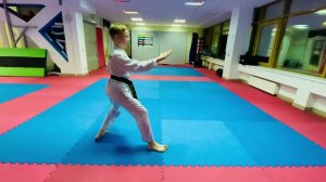 Дхан-гун видео тхэквондо туль на синий пояс тхэквондо хьенг 23 движения 4 гып комплекс Dhan-Gun Tul