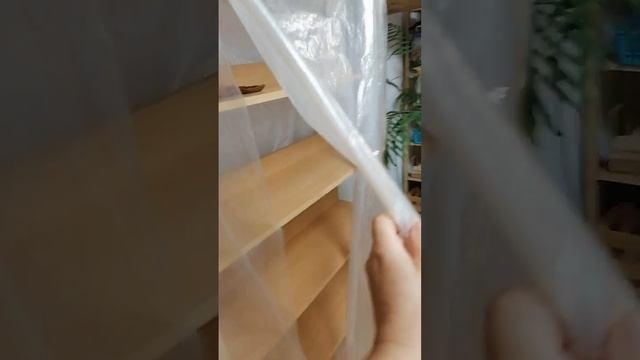 2 июля 2024 г.