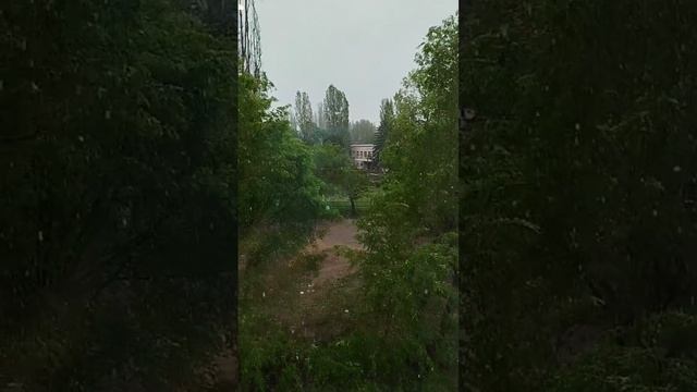 Снег в Воронеже сегодня 27 апреля 2025, в Воронеже выпал снег сегодня 27 апреля 2025, пушистый снег смотреть онлайн