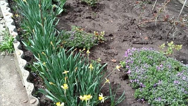 Госконтракт для малоимущих граждан до 260000 смотреть онлайн