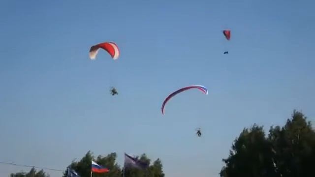 Посадка параплана на берёзу в Коврове смотреть онлайн