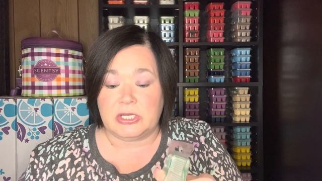 Quarterly Scentsy Club | Small Scentsy Haul | Spring/Summer club worthy scents смотреть онлайн