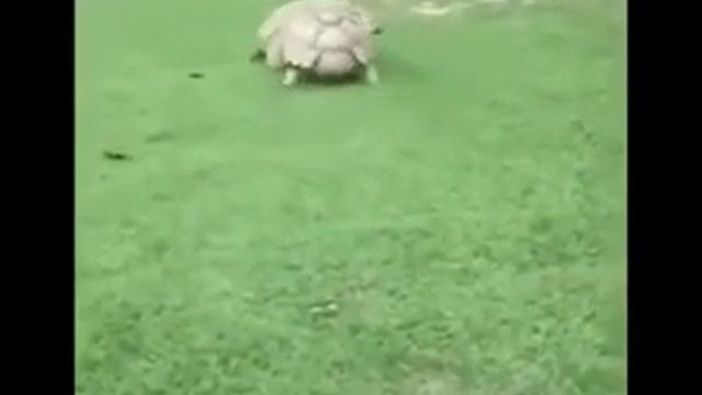 Надо верить в себя