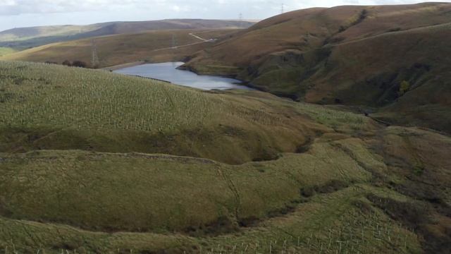 100,000 trees planted at Gorpley in the White Rose Forest, West Yorkshire - Northern Forest смотреть онлайн