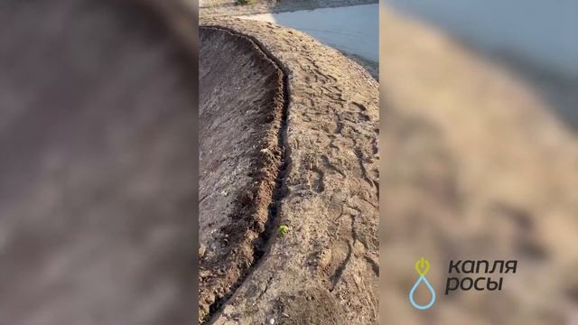 Укладка капельного шланга на участке