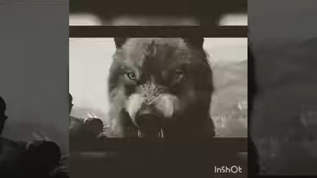 Если будешь подать поднимишся! Нужно верить себе!🔱👑 смотреть онлайн