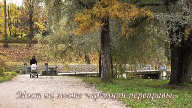 Гатчинский  парк осенью