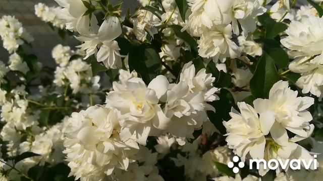 Одесса 1 июня . Обстановка. Тревожно-спокойная . смотреть онлайн