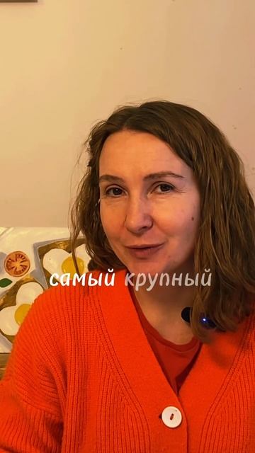 Печень. Эмпирическая анатомия. Соматика.