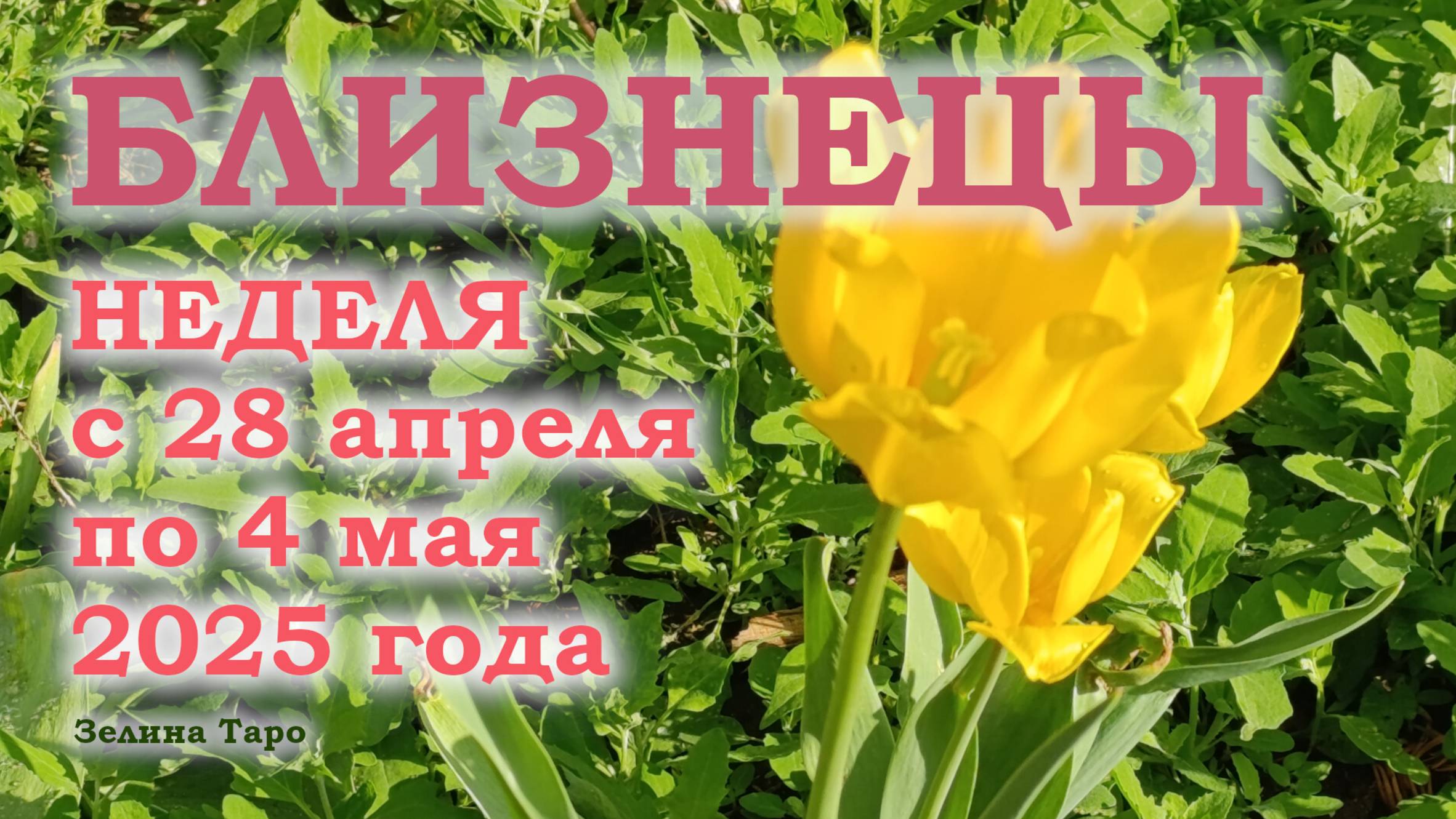 БЛИЗНЕЦЫ | ТАРО прогноз на неделю с 28 апреля по 4 мая 2025 года