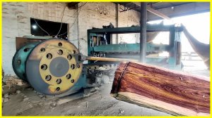 Процесс производства шпона, как это делают в Пакистане!