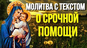 Сильная молитва с текстом о срочной помощи Пресвятой Богородице