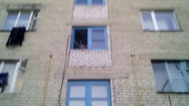 Я показал сраку!!!!???????wtf??? приколы!!!!!????? смотреть онлайн