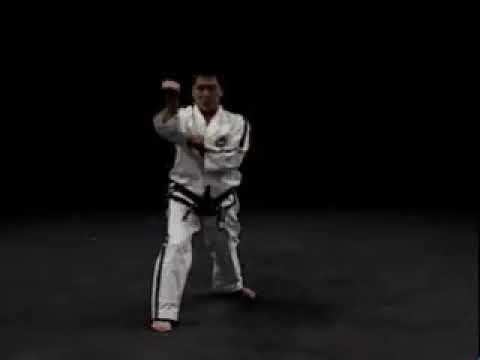 Джун Гун видео тхэквондо туль красный пояс 2 гып хьенг 32 движения комплекс Joon Gun вид сзади спорт смотреть онлайн