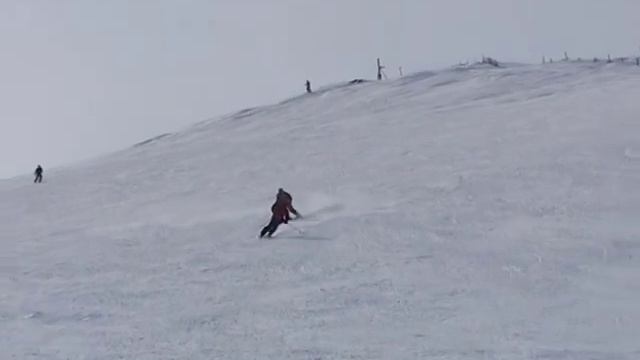 Часть 1 СОБЬ В МАЕ  2006 такая разная GOLDEN BUGEL