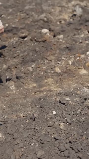 Премьера трека и клипа! Shami, Shaman - «В памяти людей» в официальном сообществе SHAMI ВК смотреть онлайн