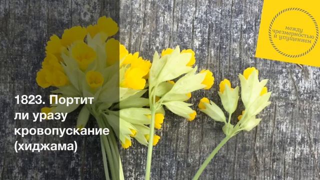 Портит ли уразу кровопускание (хиджама) / Шарх Булуг иль-марам