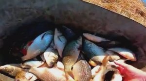 ПРОСТО БЕШЕНЫЙ ХОД ОГРОМНОЙ РЫБЫ!!! Ловим карася и подъязка на паук.