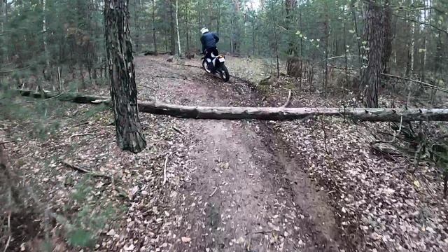 Кайфуем в лесу) смотреть онлайн