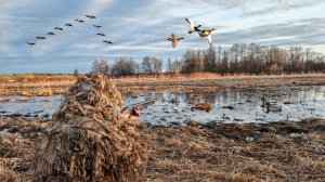 ЖДАЛИ УТОК, А НАЛЕТЕЛИ ОНИ! ВЕСЕННЯЯ ОХОТА НА СЕЛЕЗНЯ С ПОДСАДНОЙ 2025.