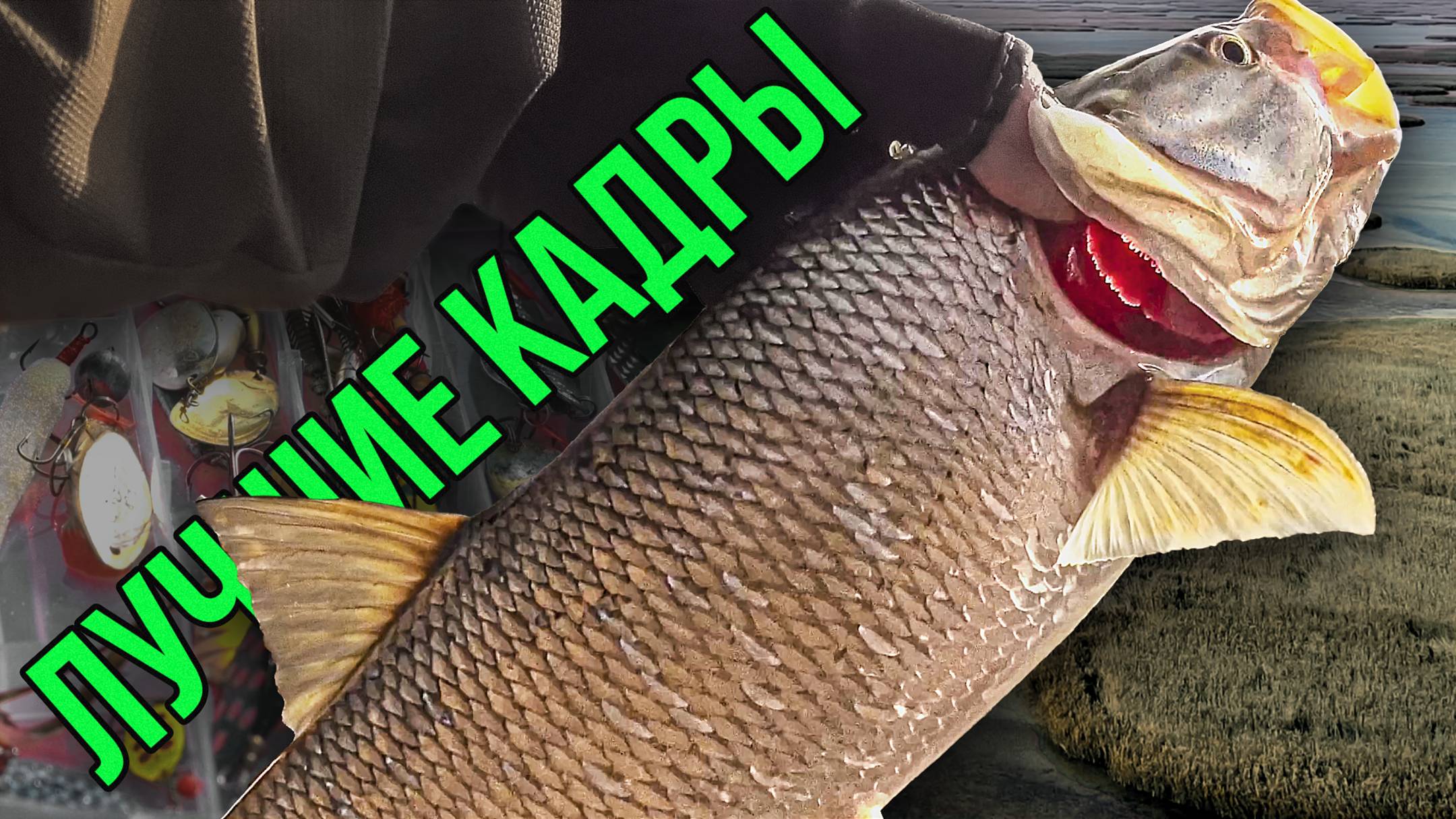 ЛУЧШИЕ КАДРЫ С РЫБАЛКИ - выпуск1